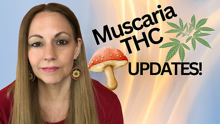 Muscaria and THC Update 8/23